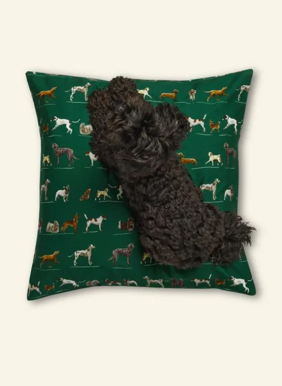 Clearance Palava Dog Bed - Green Porcelain Dogs