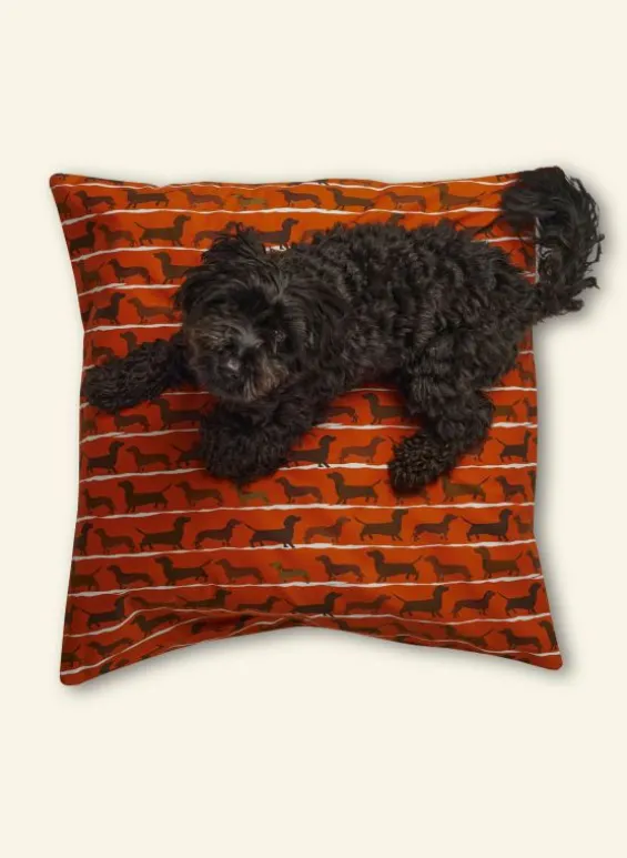 Best Sale Palava Dog Bed - Rust Sausage Dog