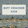 Discount Palava E-Voucher (£250)
