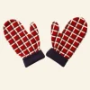 New Palava Knitted Mittens - Red Tuck Shop