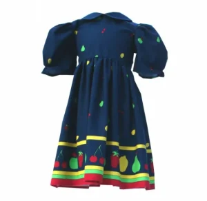 Discount Palava Navy Fruit - Double Border - Cotton - Fabric