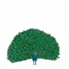 Best Sale Palava Peacock Wall Sticker