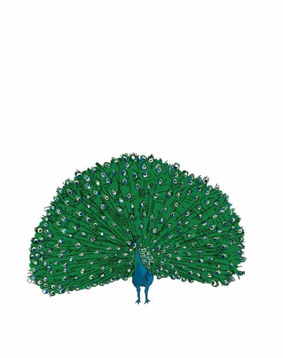 Best Sale Palava Peacock Wall Sticker