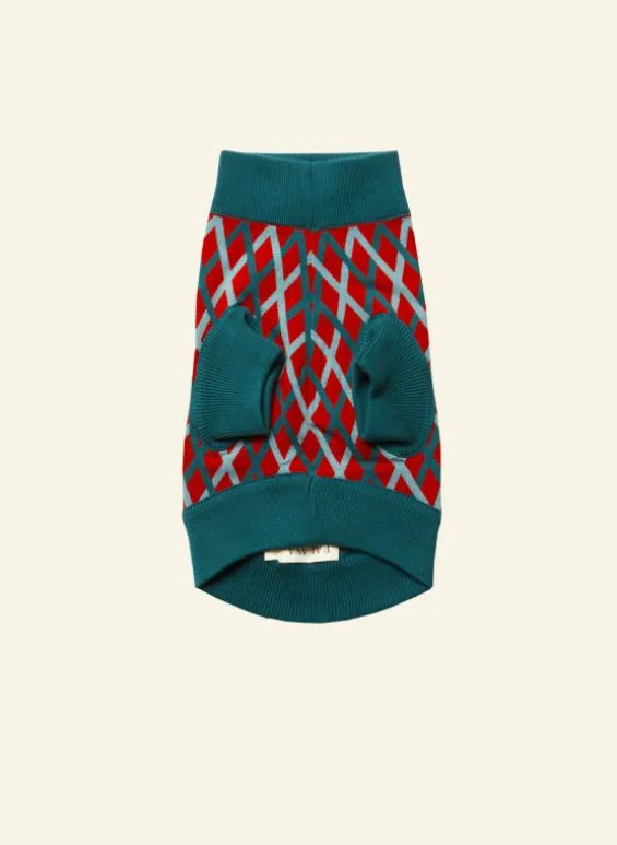 Flash Sale Palava Rodney Dog Jumper - Teal Lattice