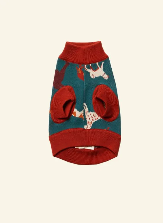 Fashion Palava Rodney Dog Jumper - Teal Woof
