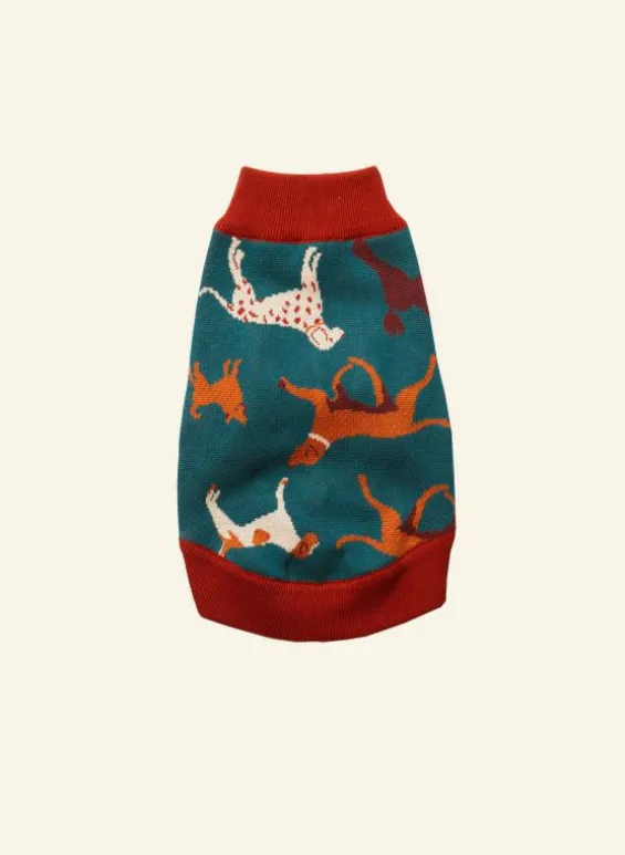 Fashion Palava Rodney Dog Jumper - Teal Woof