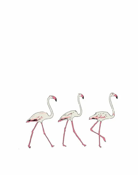 Store Palava Three Flamingos Wall Sticker