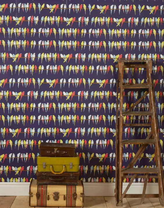 Shop Palava Wallpaper - Navy Budgies